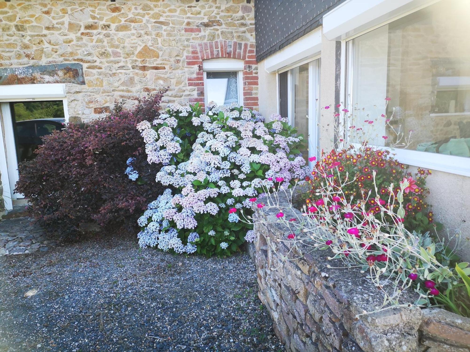 Gite Breton Sur La Cote De Granit Rose Villa Pleudaniel Exterior foto